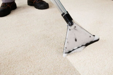 How To Clean Polyester Carpet? Everything You Need To Know